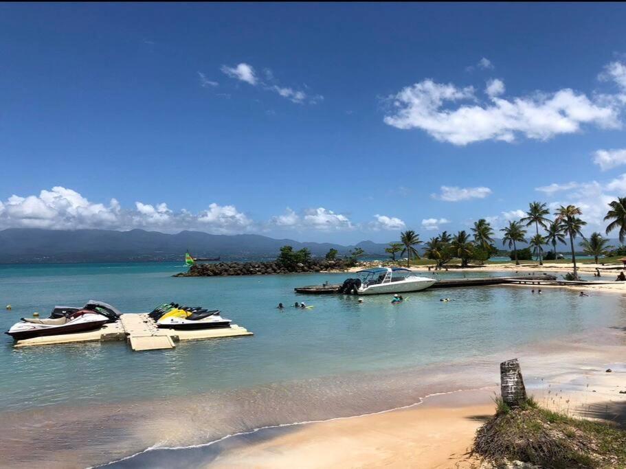 Studio Cosy Plage Et Piscine A Bas Du Fort 르 고지에 외부 사진